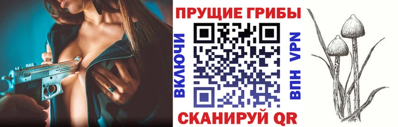 дарнет шоп Короча Псилоцибиновые грибы Magic Shrooms