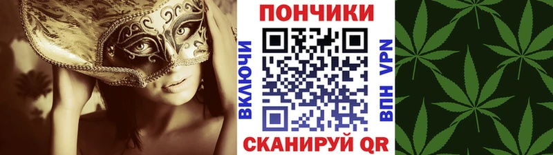 Марихуана Bruce Banner  Короча 